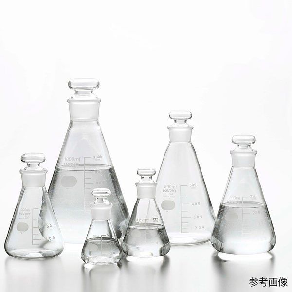 HARIO 共栓三角フラスコ 300mL(TS27) TSF-300-SCI 1個 4-4573-04（直送品）