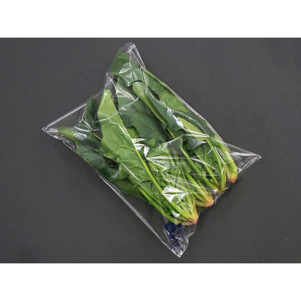 オーラーパック Oakley 22L Enduro Backpack - CEC