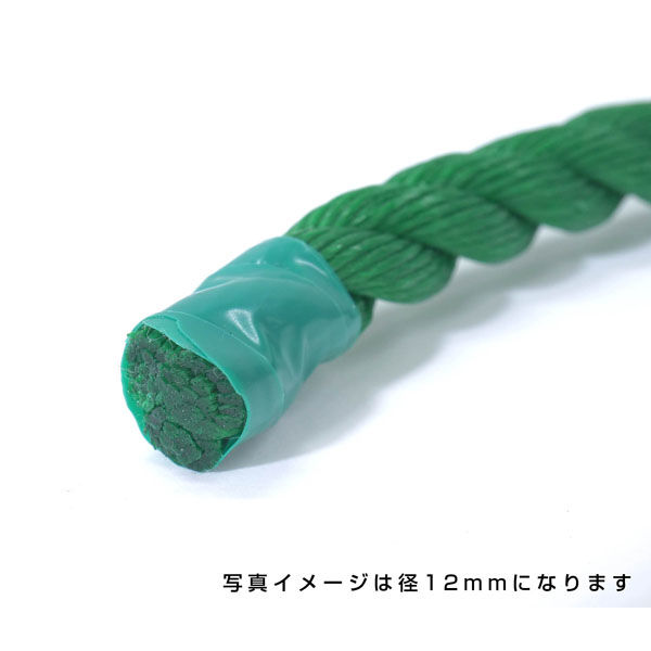 伊藤製鋼 ポリエチレンロープ　緑　１２ｍｍ　１００ｍ巻 6300040529 1巻（直送品）