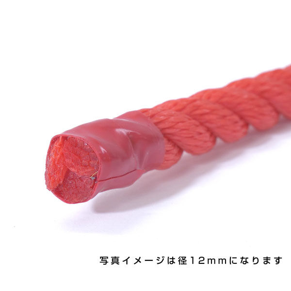 伊藤製鋼 ポリエチレンロープ 赤 10mm 100m巻