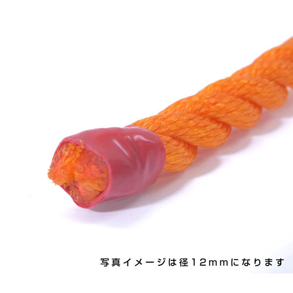 伊藤製鋼 ポリエチレンロープ オレンジ 4mm 100m巻 6300040587