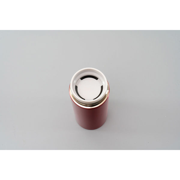 水月・茶器 フォルテック キャリングボトル RH-1683 和平フレイズ ボトル