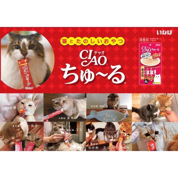 いなば CIAO チャオ ちゅ～るグルメ かつお海鮮バラエティ 3種