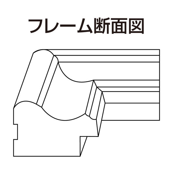 ナカバヤシ 樹脂製賞状額 金ケシ Ｂ５ フ-KWP-31 1セット（10枚