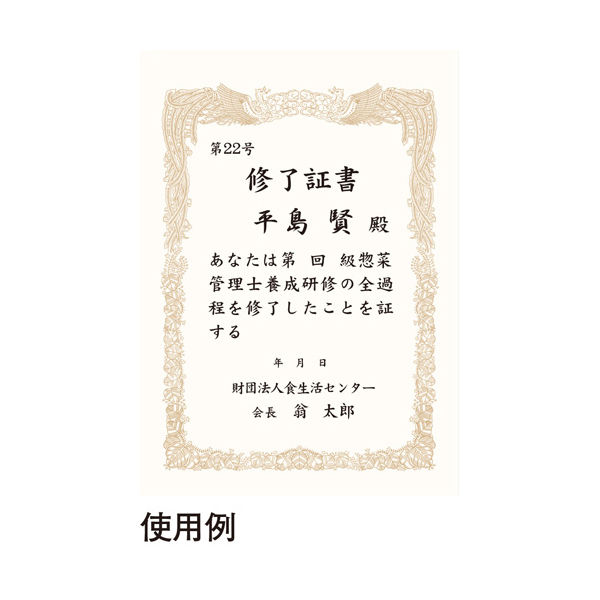 オキナ OA対応辞令・賞状用紙 B5 10枚 SZB5 - 手帳・ノート・紙製品