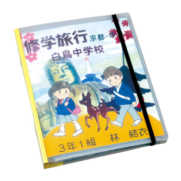 a20　ファイル2冊 Amazon.co.jp: ナカバヤシ クリアファイル クリアポケット替台紙
