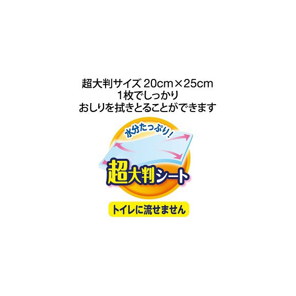 大人用/流せない】ライフリー おしりふき超大判スッキリ 1パック（60枚