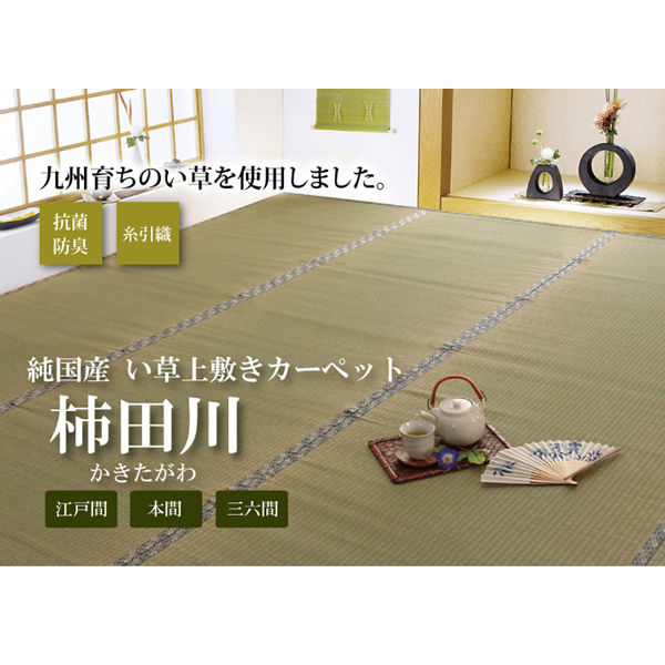 イケヒコ 純国産 い草 上敷き カーペット 糸引織 『柿田川