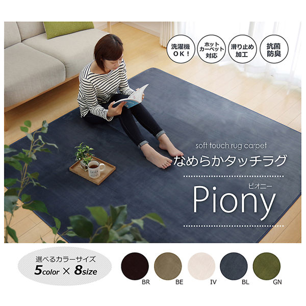 イケヒコ・コーポレーション ピオニーHCC IT BE 約200×250cm
