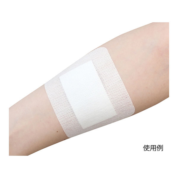 共和 サンフティパッドS 60×70mm NO.6070 1セット（50枚入×4箱