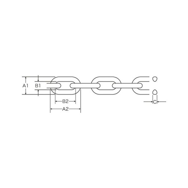 日本緑十字社 プラカラーチェイン Φ6mm グリーン PT-640G 1巻 61-9937-37（直送品）