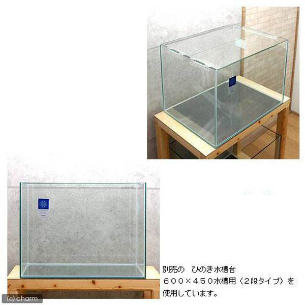 寿工芸 （大型）コトブキ工芸 レグラスフラット Ｆ-６００Ｌ ６０ｃｍ水槽（単体） 13673 1個（直送品）