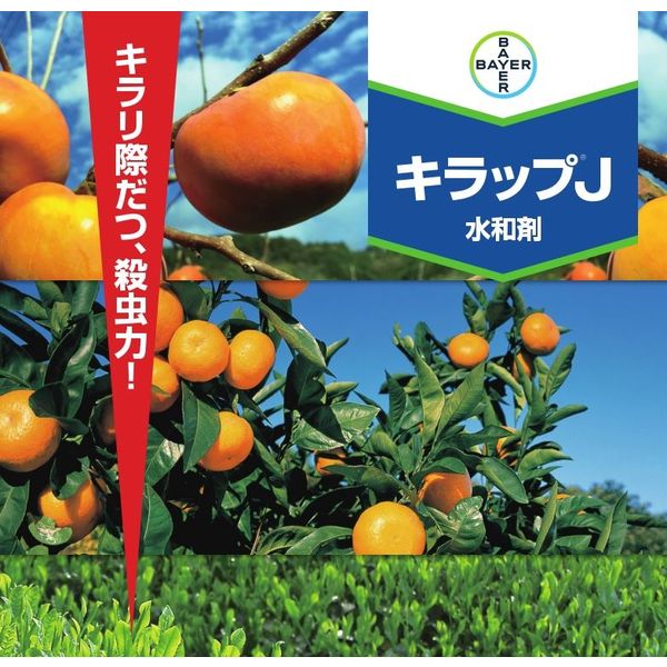 バイエル薬品 - やま バイエル キラップJ水和剤 250g 2056636 1パック バイエル