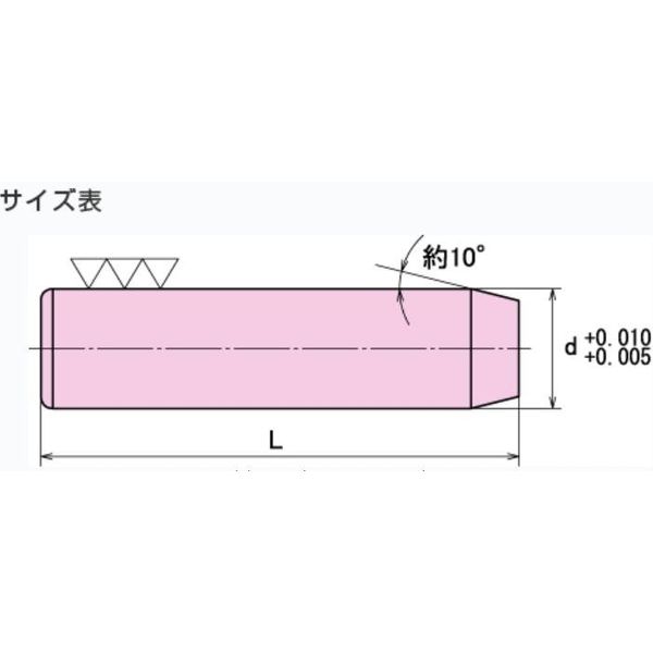 大喜多 ダウエルピン DP-A 3X6 DPA-030006 1セット（90本）（直送品