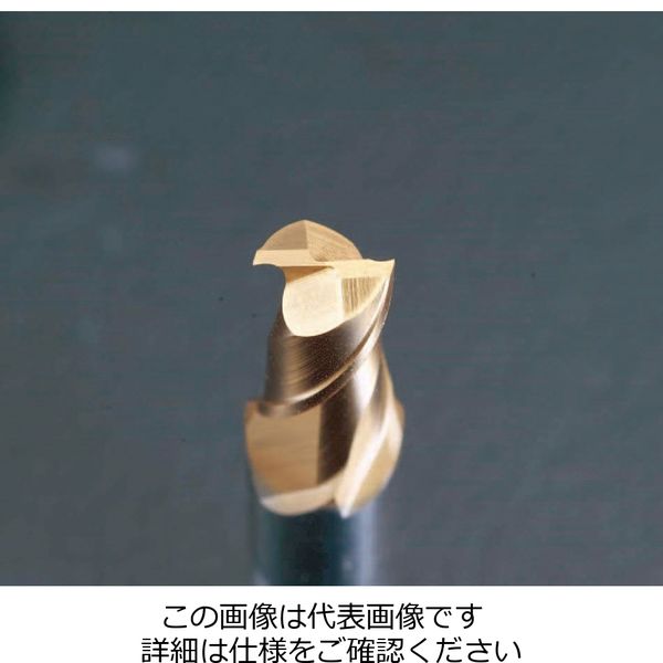 エスコ 20.0x110mm エンドミル(TiN coat・CoーHSS/2枚刃) EA824RA-20 1