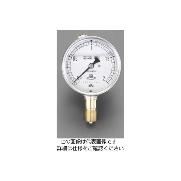 売れ筋ランキングも エスコ 75mm/0-1.0MPa 圧力計(グリセリン入)(品番