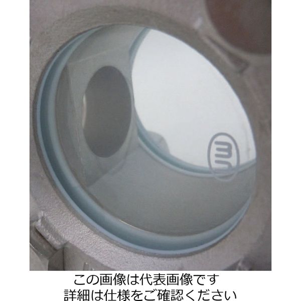 正規品／ESCO PT 1” 透視式 サイトグラス（ステンレス製） EA469SC-8