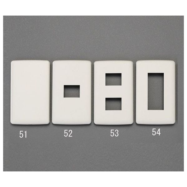 エスコ [ブランク] プレート EA940CN-51 1セット(30枚)（直送品