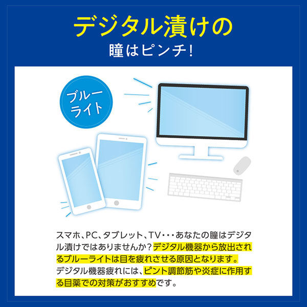 第3類医薬品】ロートデジアイ コンタクト 12mL / ウエルシア