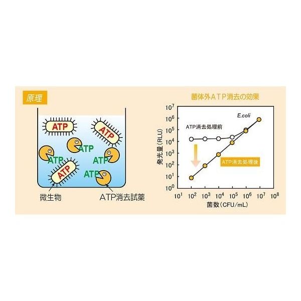 キッコーマンバイオケミファ ATP微生物検査キット ルシフェール