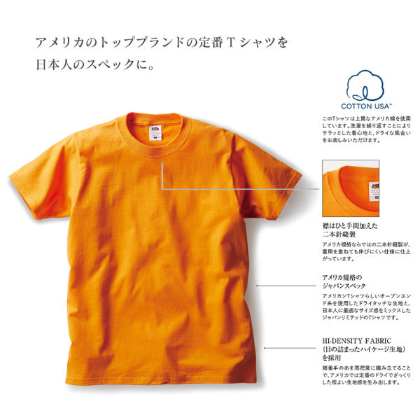 TRUSS フルーツベーシックTシャツ サイズXL 4.8oz アスレチック