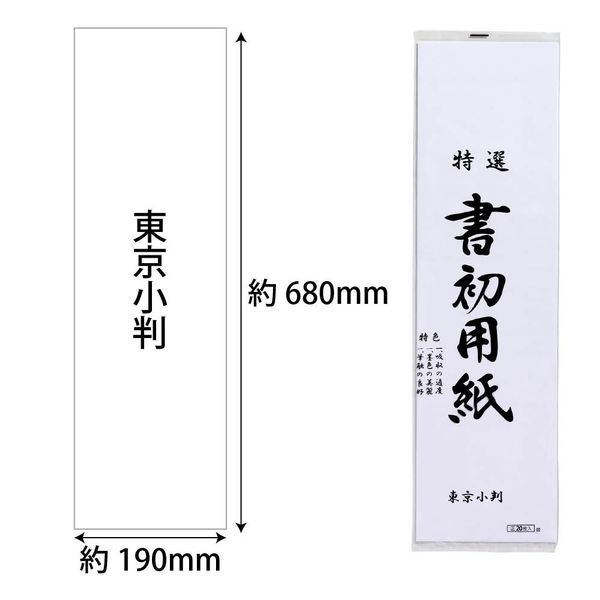 あかしや 書初め半紙 東京小判 20枚入り AO-30K-TKS 5パック（直送品