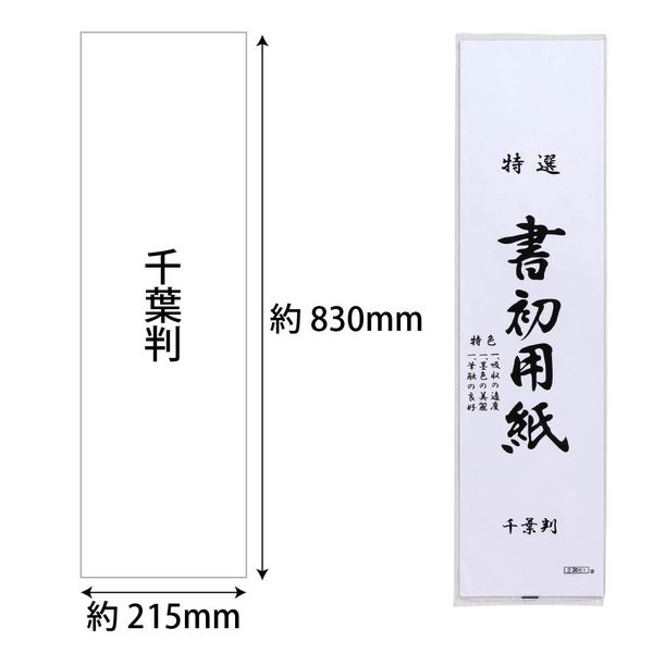 あかしや 書初め半紙 千葉判 20枚入り AO-40K-CB 5パック（直送品） - アスクル