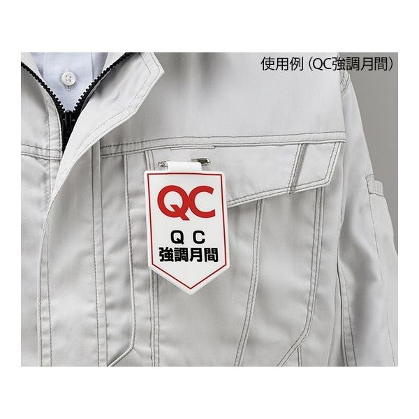 司令部ワッペン　右胸ワッペン（新品・未使用） 第6飛行隊 胸（赤） ウィング刺繍
