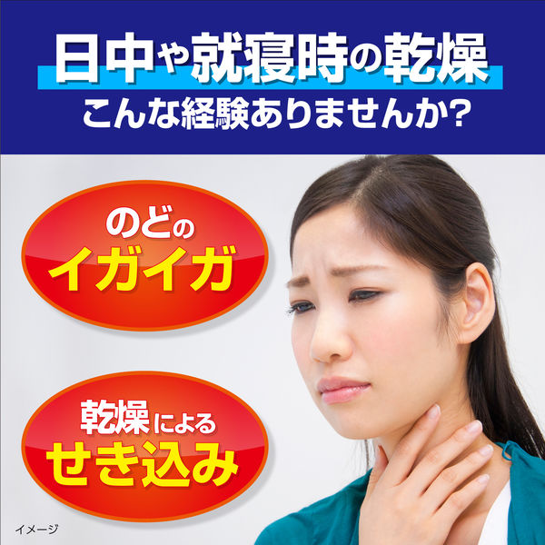 小林製薬 のどぬ～るぬれマスク 昼夜兼用立体タイプ 無香料 1箱(3