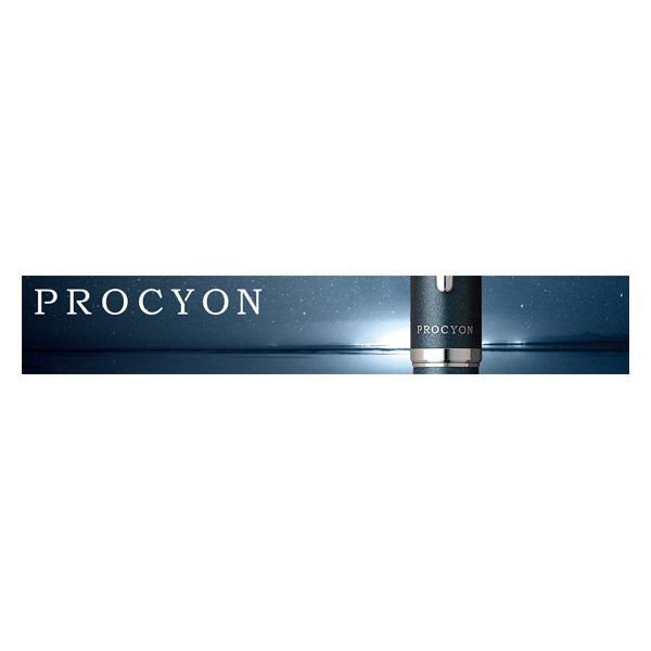 プラチナ万年筆 PNS-5000 PROCYON プロシオン パーシモンオレンジ プラチナ萬年筆 プロシオン PNS-5000 [パーシモンオレンジ