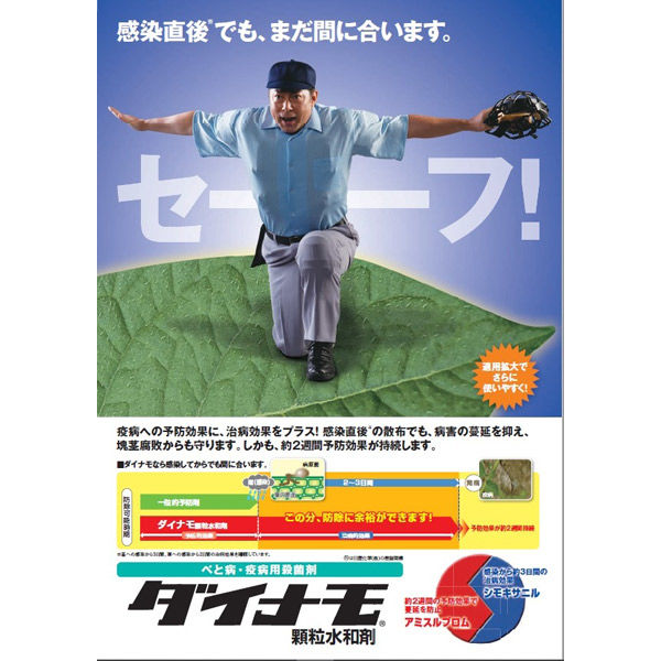 【農薬】 日産化学 ダイナモ顆粒水和剤 250g 2057483 1パック（直送品）