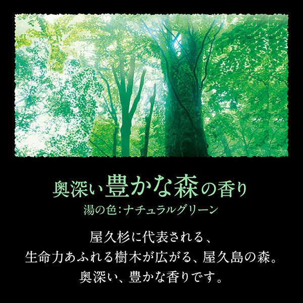 バブ 至福の森めぐり浴 12錠入×4箱 花王 (透明タイプ) - アスクル