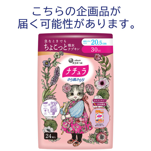 ナチュラ 吸水ケア さら肌さらりよれスッキリ吸水ナプキン 30cc 20.5CM 120枚:（5パック×24枚入）エリエール 大王製紙 - アスクル