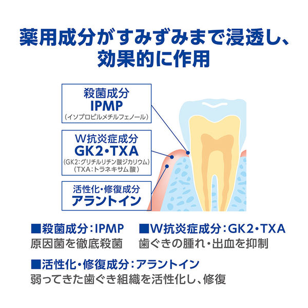 デントヘルス 薬用デンタルリンス マウスウォッシュ 450ml 殺菌 歯槽膿漏予防 アルコールタイプ 洗口液 ライオン - アスクル