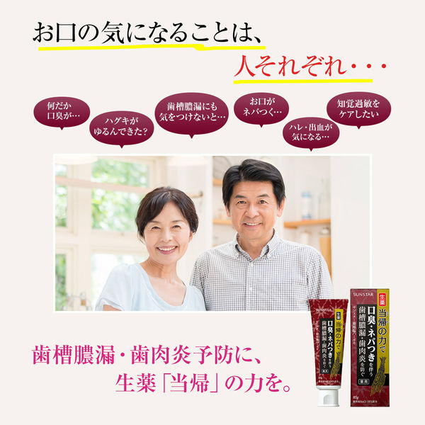 当帰の力 薬用 塩ハミガキ しみる歯ケア 82g 1セット（2本） サンスター 歯磨き粉 生薬 当帰 口臭 歯槽膿漏 歯肉炎 歯周病 知覚過敏