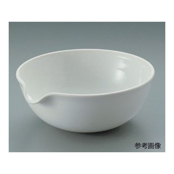 タキシン 磁製蒸発皿(丸皿)φ60mm 30mL 6-558-01 1セット(10枚)（直送品