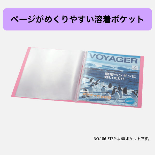 キングジム シンプリーズ クリアーファイル 固定式 透明表紙 A4