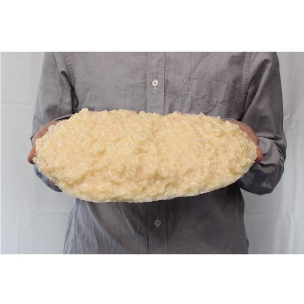 イワイサンプル 脂肪の塊(2kg) SI-020 1個 24-4514-02（直送品