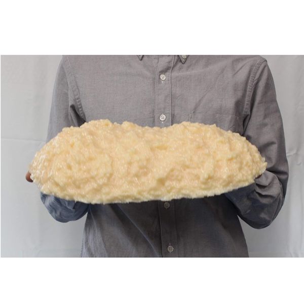 イワイサンプル 脂肪の塊(3kg) SI-030 1個 24-4514-03（直送品