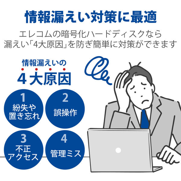 HDD (ハードディスク) 外付け 4TB USB3.0 暗号化 ブラック ELD