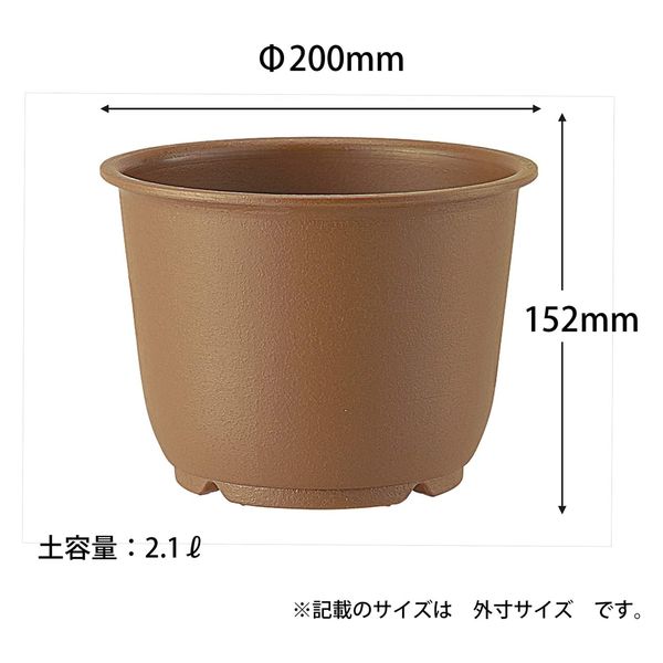 アップルウェアー 陶鉢 輪型 7号 きん茶 4905980105263 1個