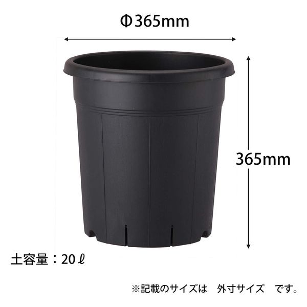 アップルウェアー 果樹鉢 365型 ブラック 4905980310469 1個