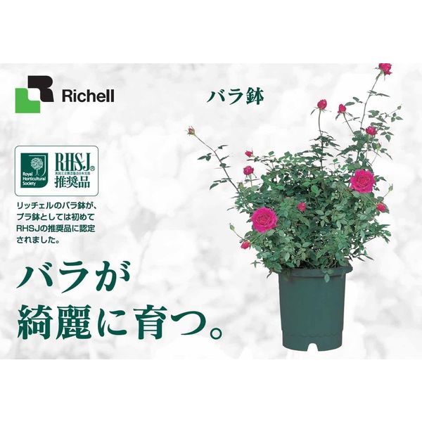 リッチェル バラ鉢10号 ダークグリーン 4973655716038 1個（直送品
