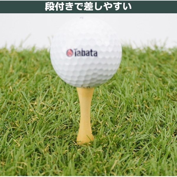 Tabata - 【2個セット定形外送料無料】【21年継続モデル】タバタ ゴルフ プロスリムショー リフトティーソフト 超ロング | GV0449 | タバタゴルフ