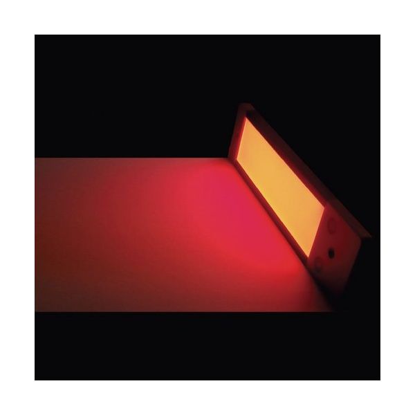 日機 面発光LEDライト 赤色発光 NLUD05（R）-DC 1個（直送品） - アスクル