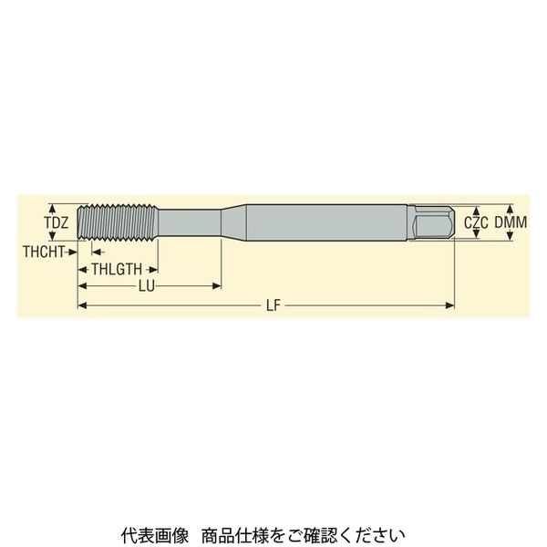 セコ・ツールズ・ジャパン スレッドマスタータップ MFーM3X0.50ISO6GX 