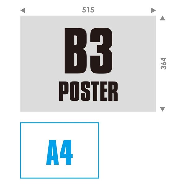 エトランジェ・ディ・コスタリカ 【2023版】B3 ポスターカレンダー CLP