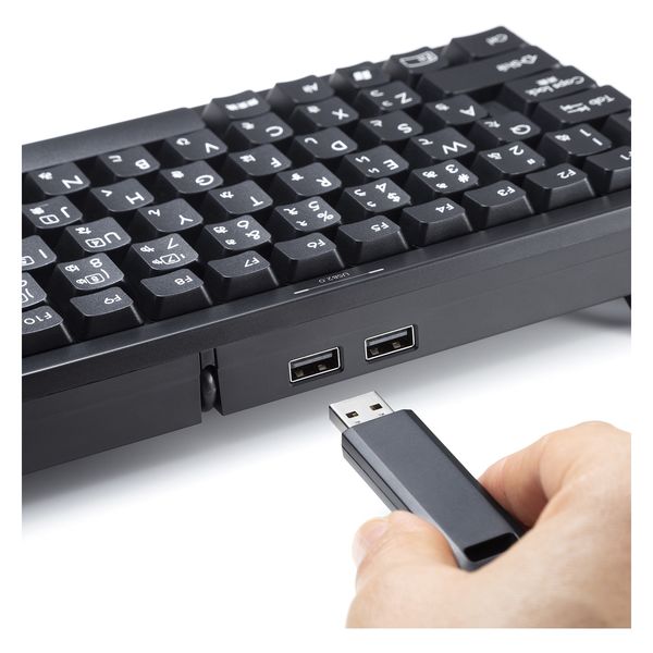 サンワサプライ USBハブ付コンパクトキーボード SKB-KG3UH2BK 1個