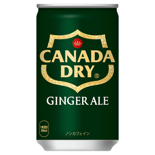 炭酸飲料】 カナダドライ ジンジャーエール 160ml 1セット（60缶