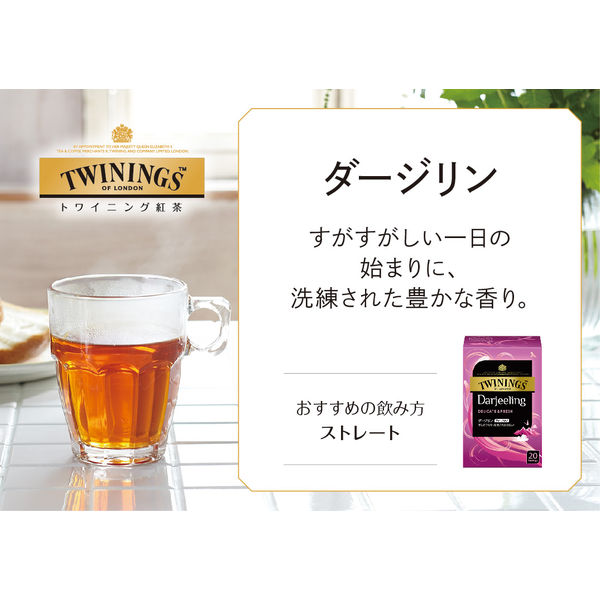 片岡物産 トワイニング ダージリン 1パック（20バッグ入